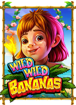 สำรวจค่าย เกม joker: ทดลองเล่นอย่างมืออาชีพ